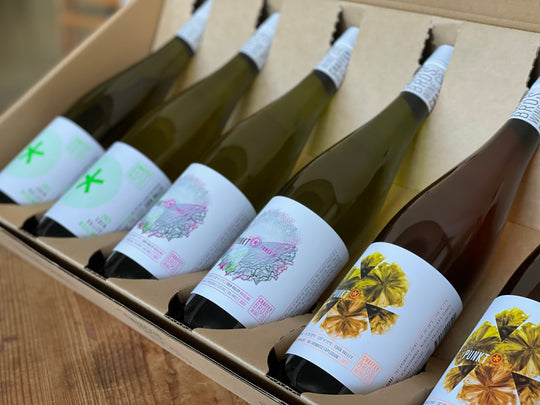 FRESH RIZZ! 3x New Release 2025 Eden Valley Rieslings {3pk / 6pk}