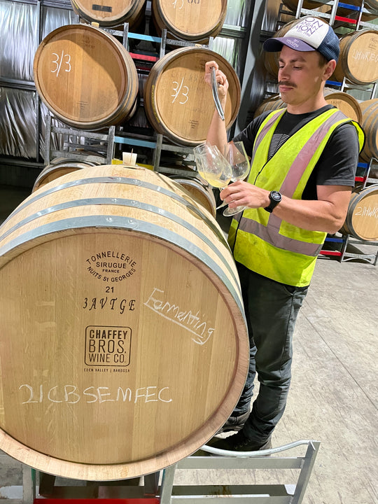 SALVIS GRATIA* Barossa Old Vine Semillon 2023