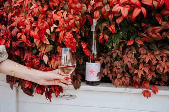 Rosé Lovers Value Packs {3/6 packs}