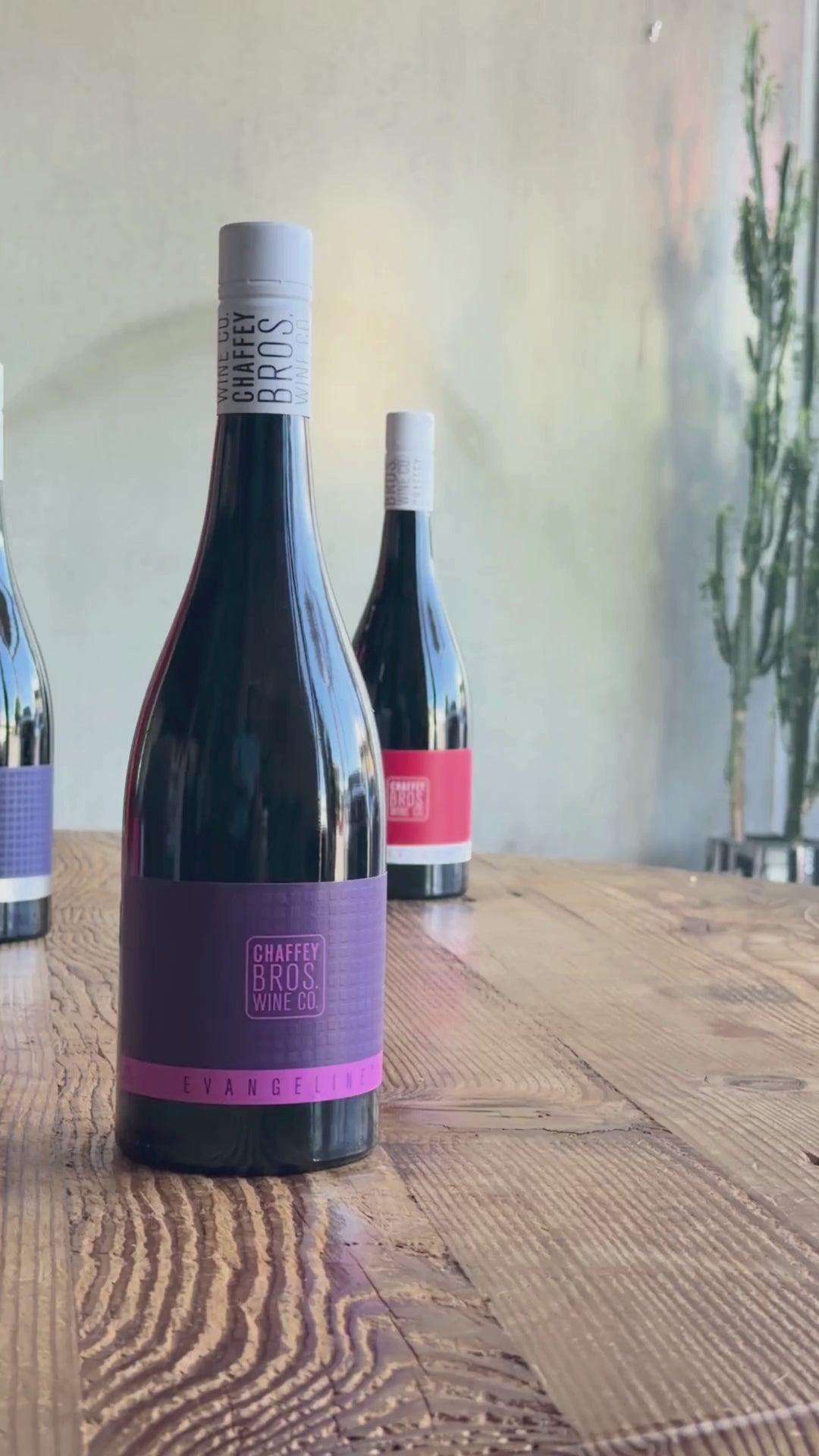 Shiraz Superstars Mixed Sixpack